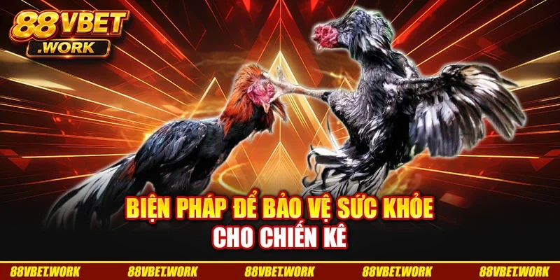 Biện pháp để bảo vệ sức khỏe cho chiến kê