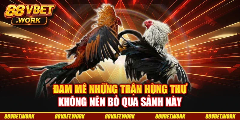 Đam mê những trận hùng thư không nên bỏ qua sảnh này
