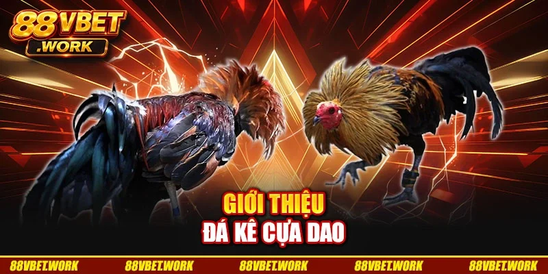 Giới thiệu đá kê cựa dao