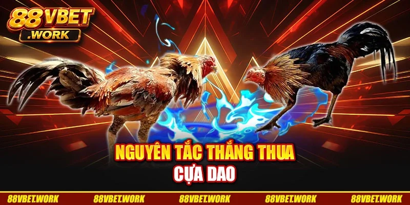 Nguyên tắc thắng thua cựa dao