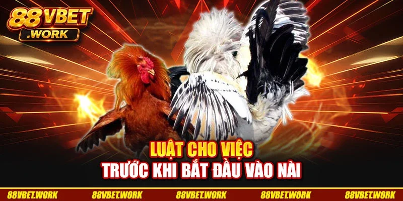Luật cho việc trước khi bắt đầu vào nài