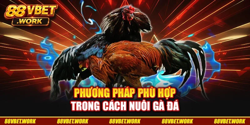 Phương pháp phù hợp trong cách nuôi gà đá